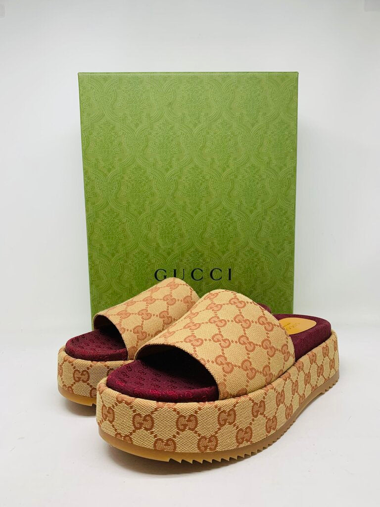 Gucci LUXURY SHOES Tan Signature 10