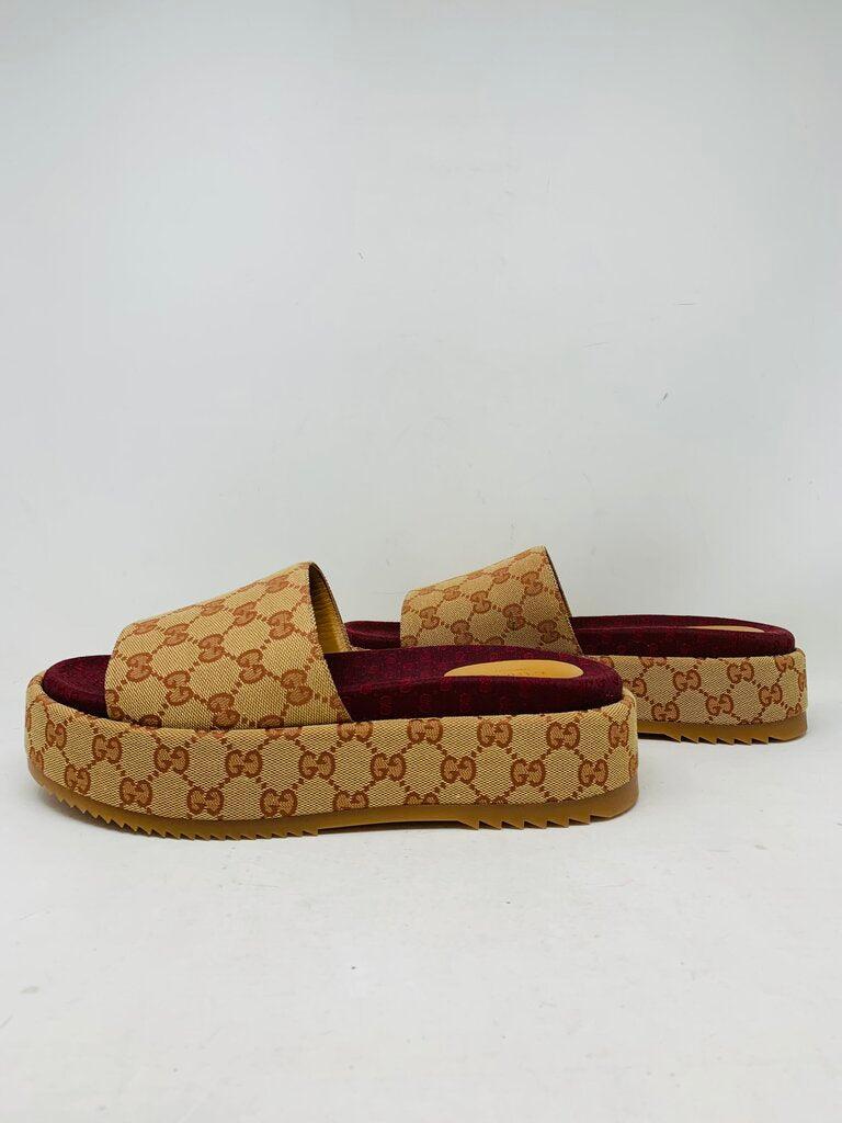 Gucci LUXURY SHOES Tan Signature 10