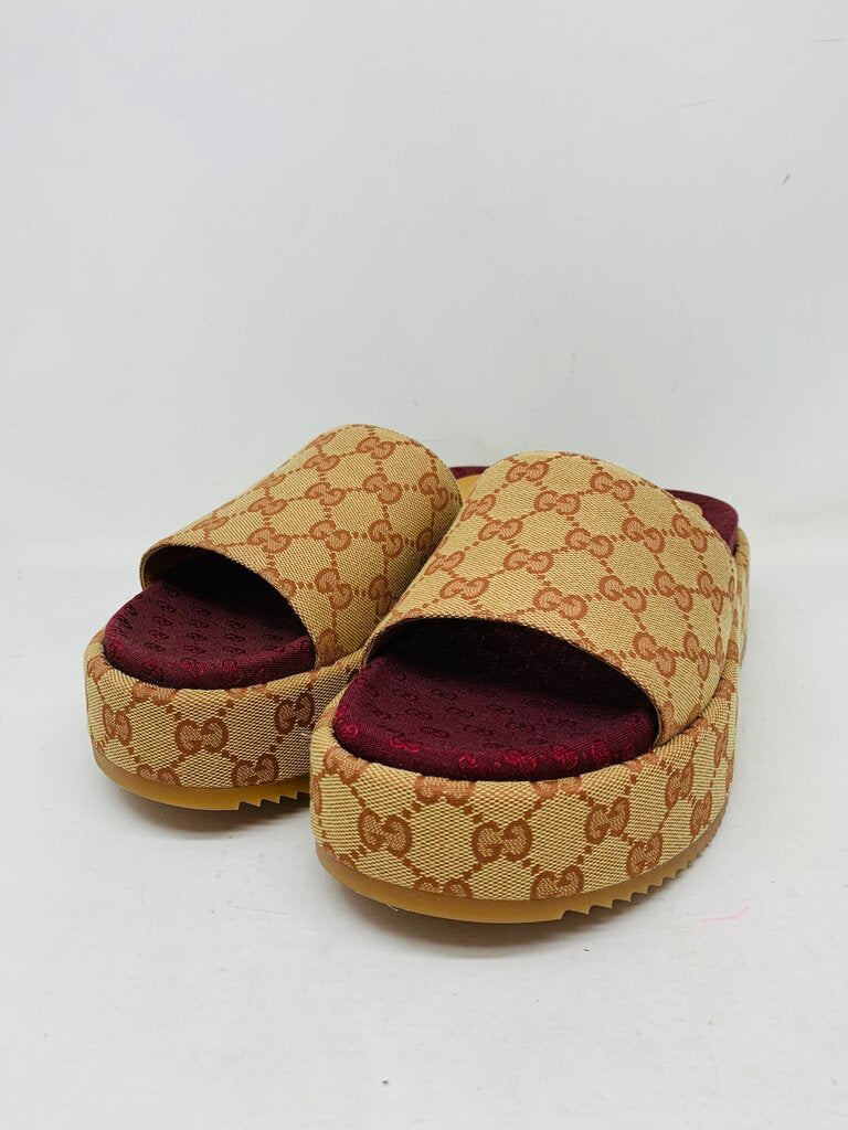 Gucci LUXURY SHOES Tan Signature 10