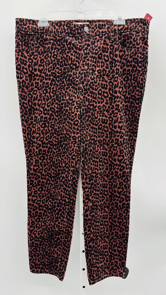 Loft Pants Skinny Brown 16