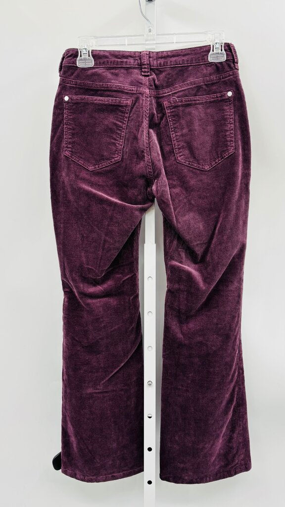 Pilcro Pants Straight Purple 4