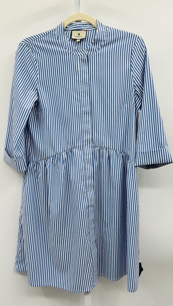 Tuckernuck Dress Blue XS