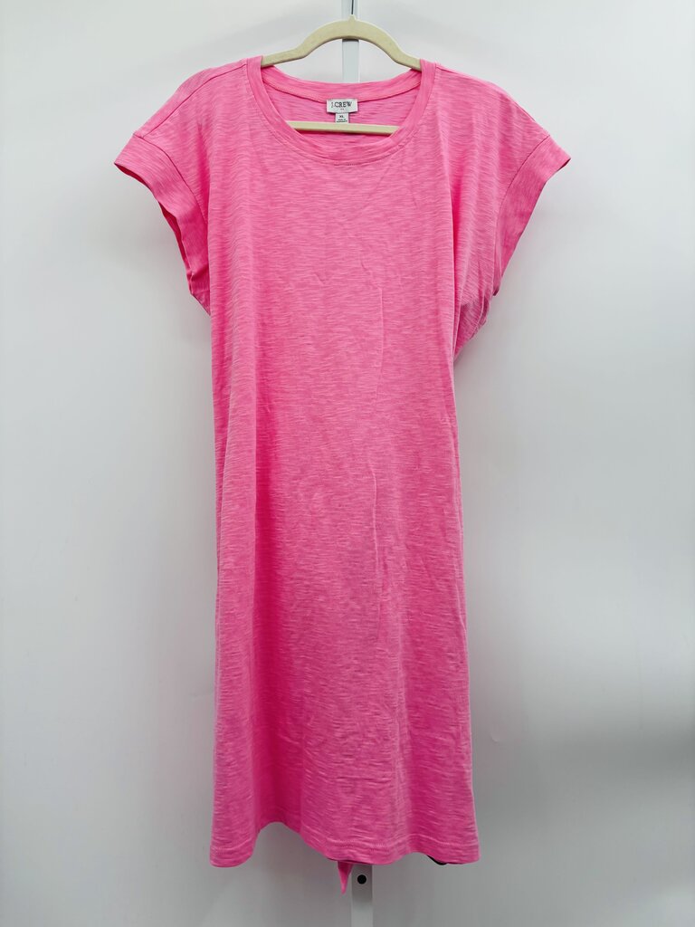 J. Crew Factory Dress Pink XL