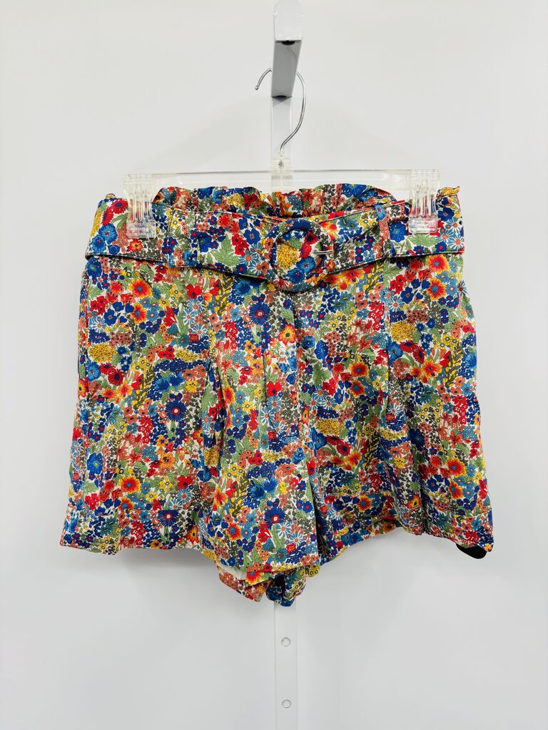 J. Crew Shorts Multi 2