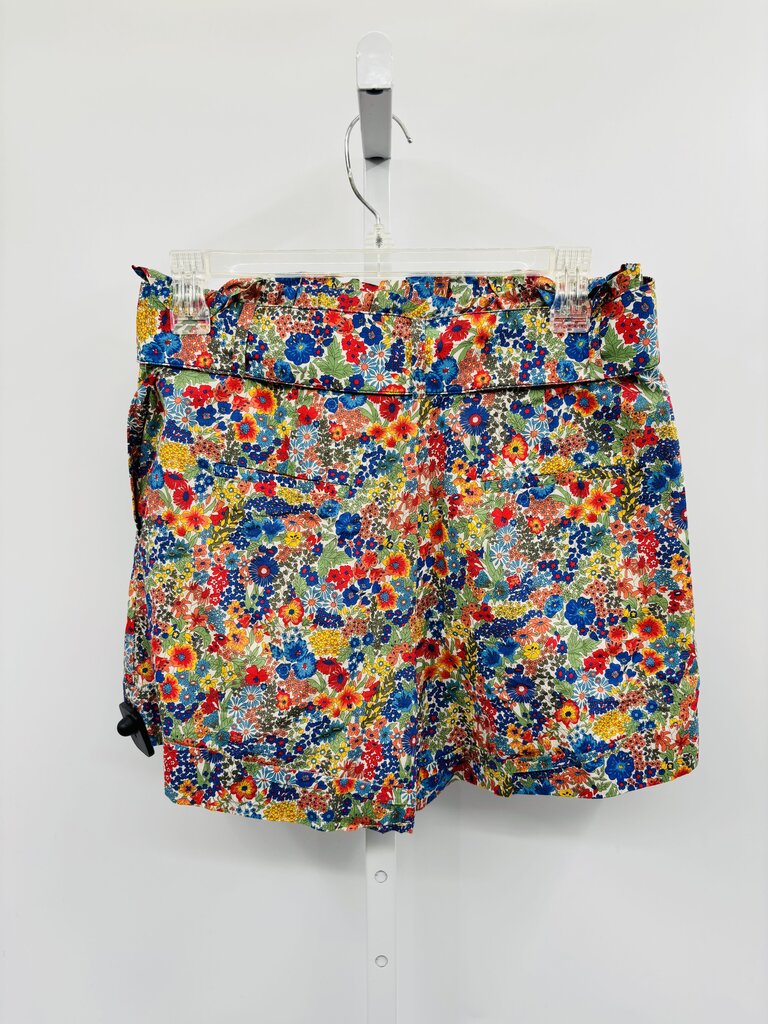 J. Crew Shorts Multi 2