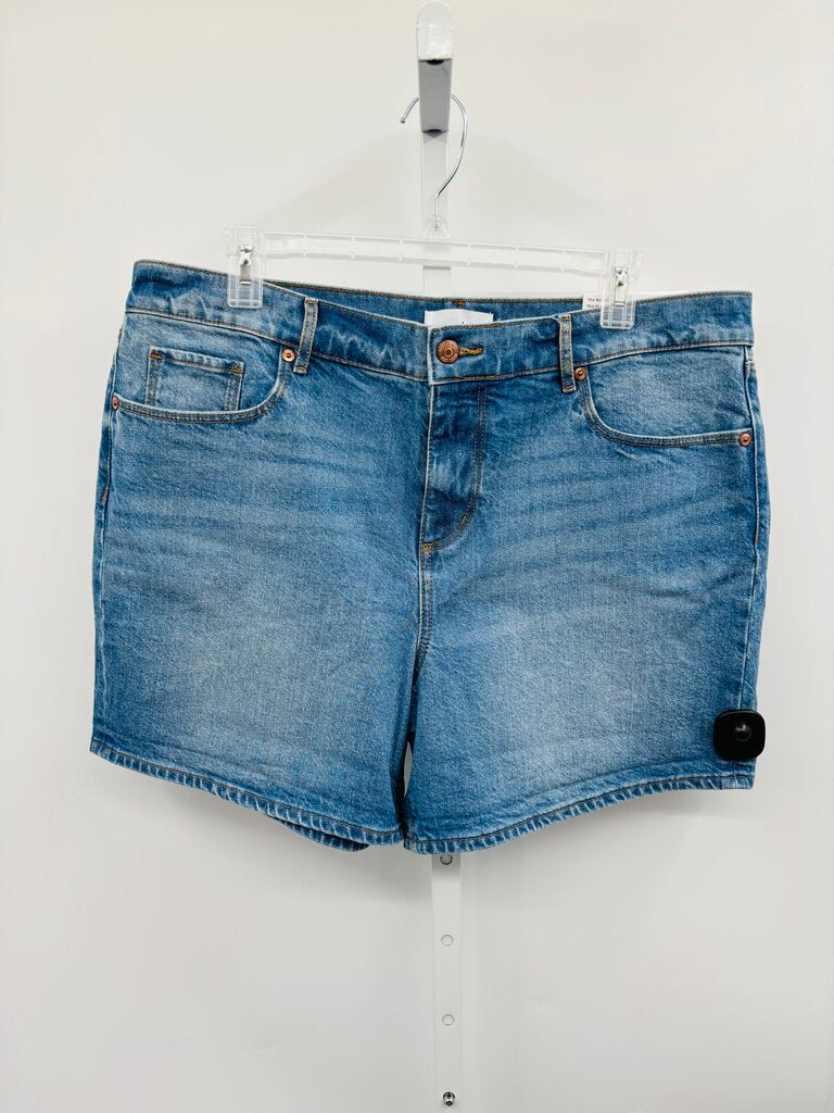 Loft Shorts Denim 14