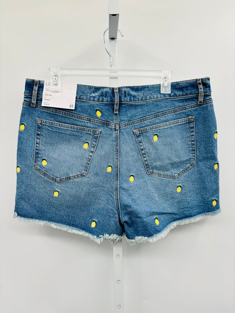 Loft Shorts Denim 14