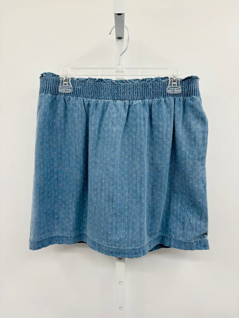 J. Crew Skirt Denim 12