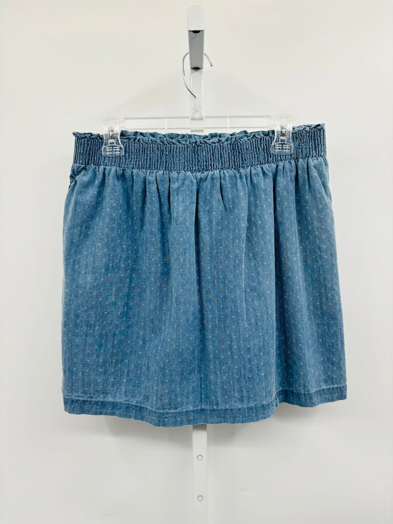 J. Crew Skirt Denim 12