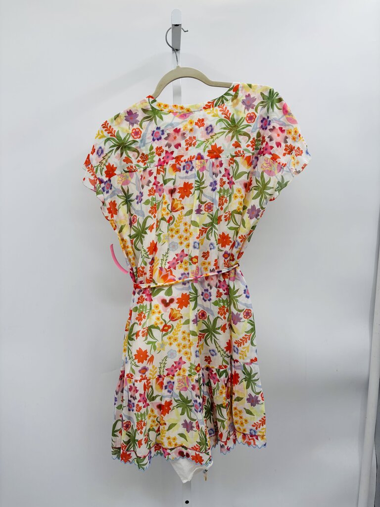 Saloni Dress Multi 4