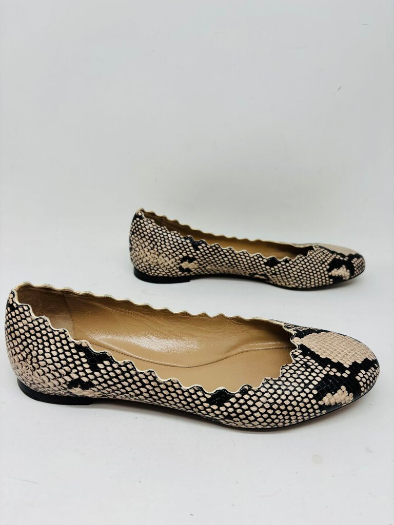 Chloe Flats Beige 7