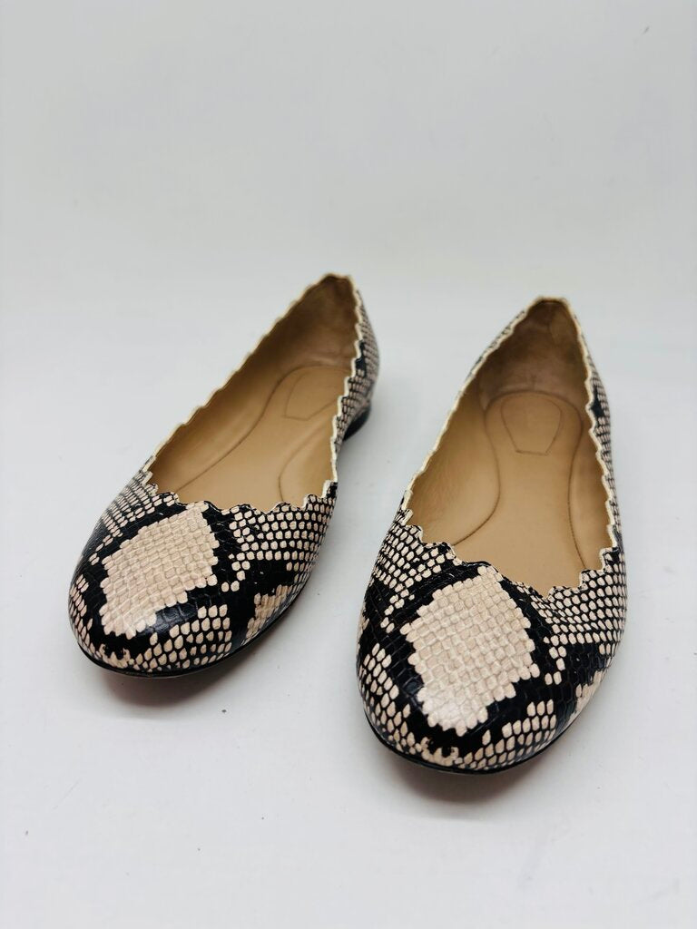 Chloe Flats Beige 7