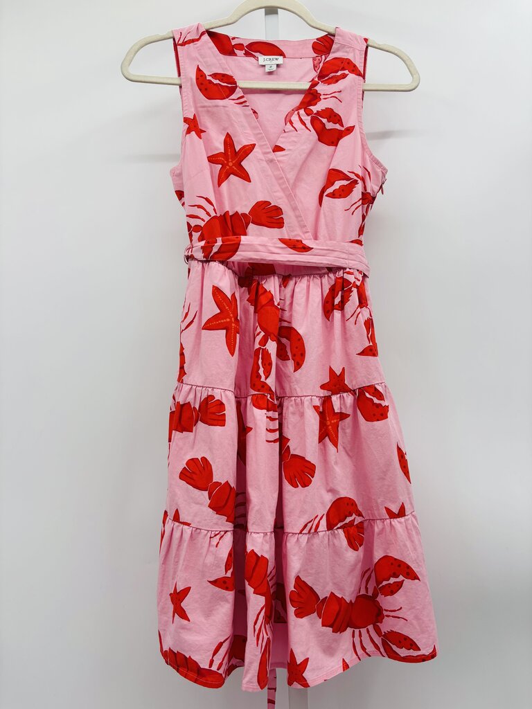 J. Crew Factory Dress Pink 2