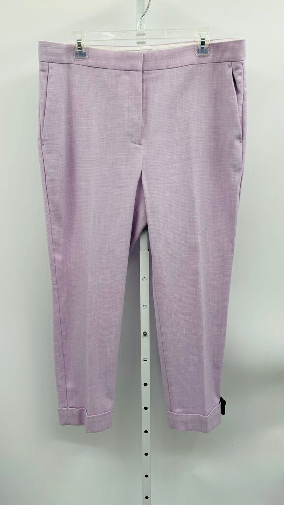 Ann Taylor Pants Straight Purple 14