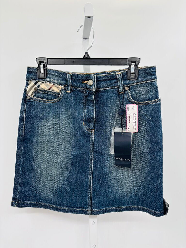 Burberry Skirt Denim 6