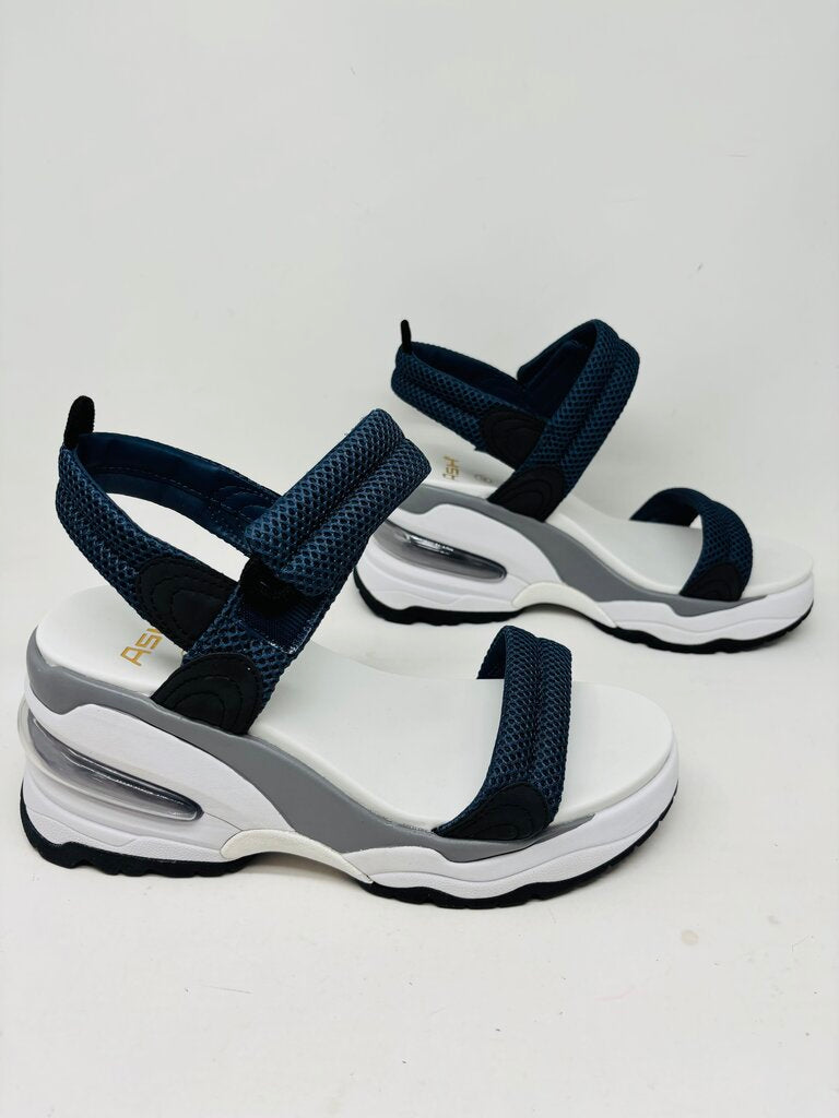 Ash Wedge Navy 9