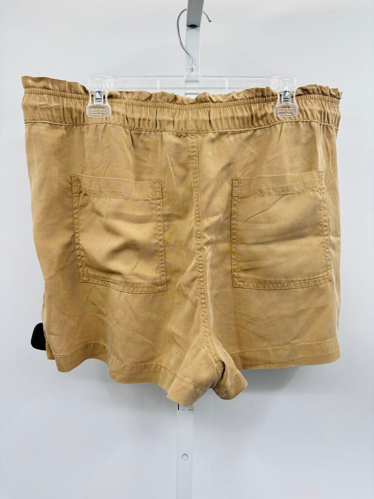 Loft Shorts Khaki XL