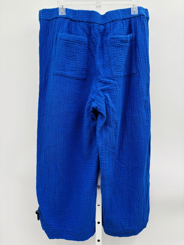 J. Jill Pants Blue XL