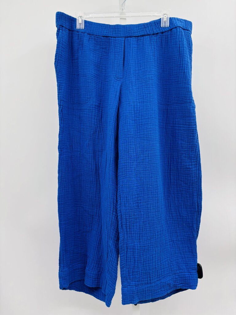 J. Jill Pants Blue XL