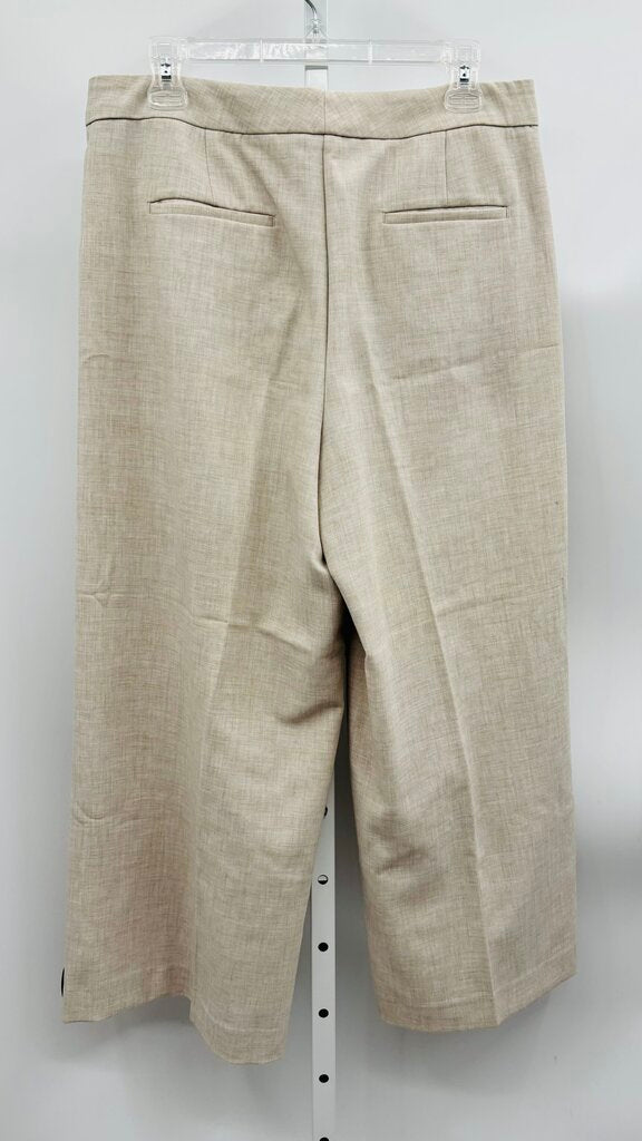Ann Taylor Pants Wide Leg Beige 10