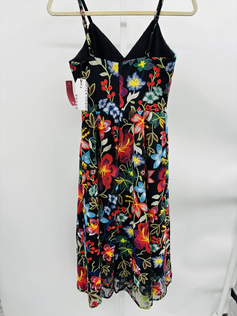 Dress the Population Dress Multi XXS