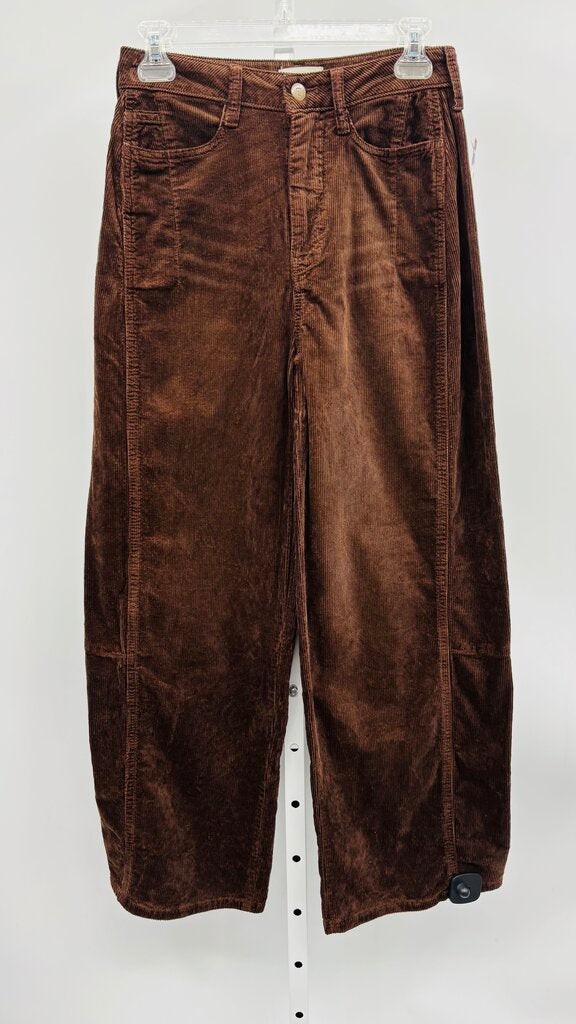 Pilcro Pants Brown 00