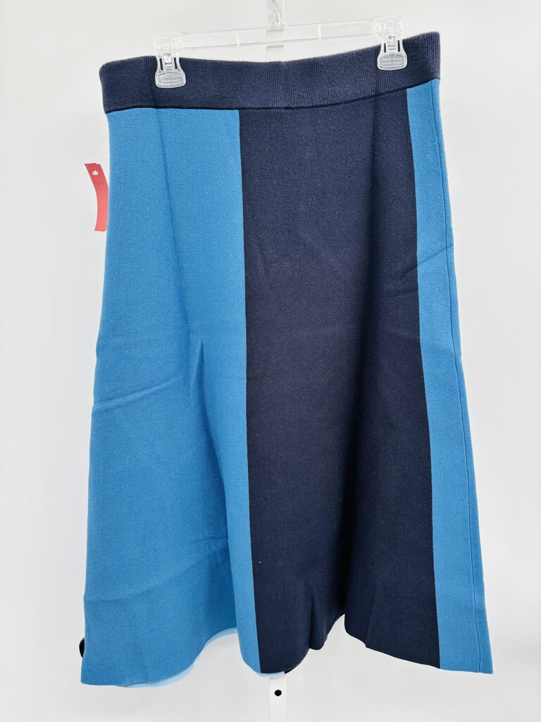 Ann Taylor Skirt Midi Blue L