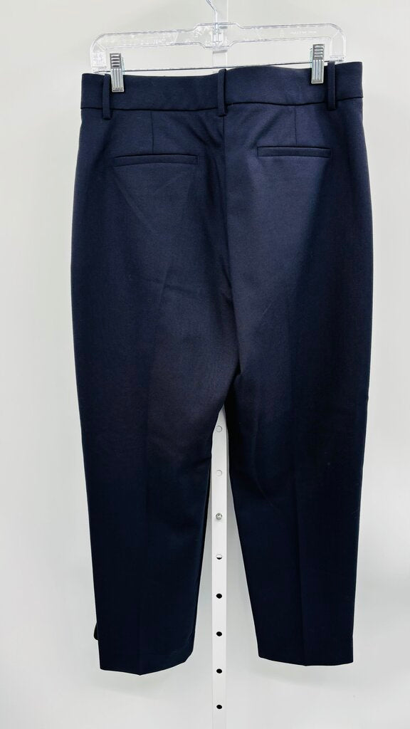 Banana Republic Pants Navy 10
