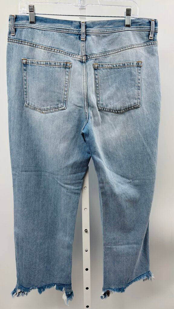 We the Free Jeans Denim 12