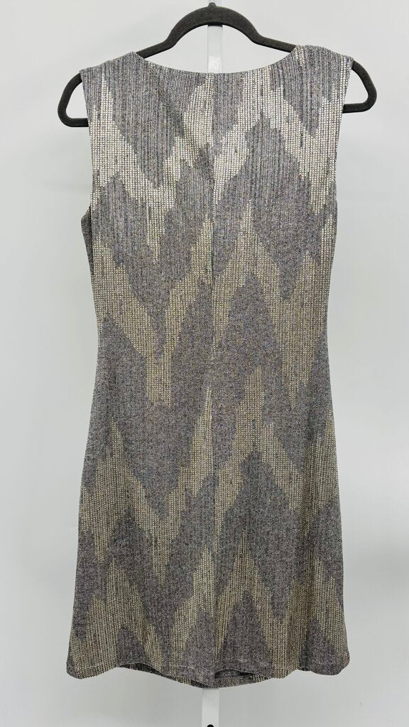 WHBM Dress Silver 8