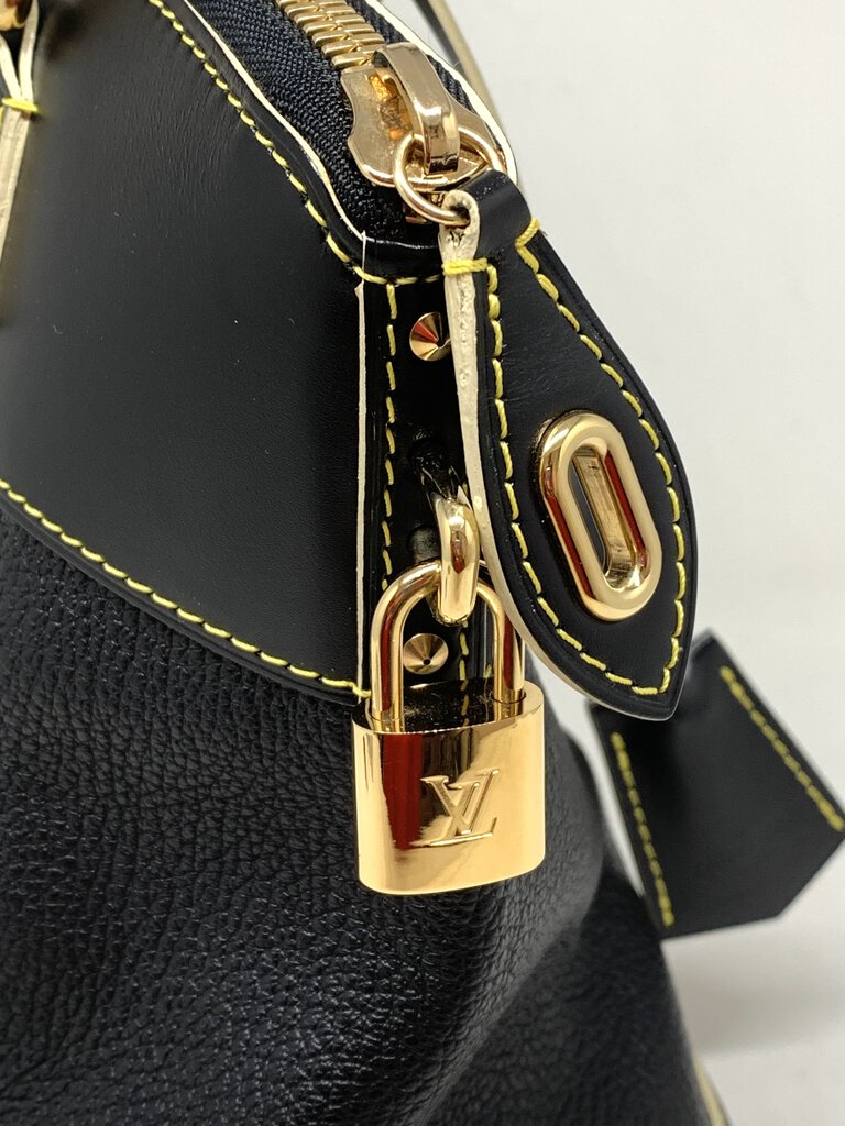 Louis Vuitton LUXURY HANDBAGS Black