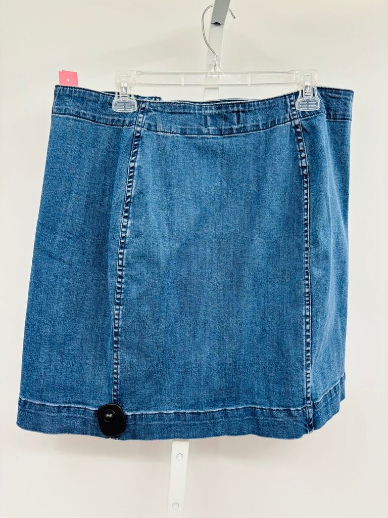Madewell Skirt Plus Denim 18