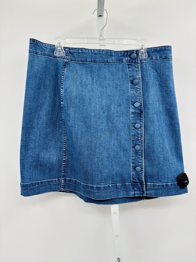 Madewell Skirt Plus Denim 18