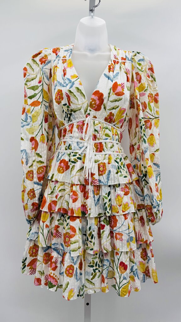 Jessie Zhao Dress Multi 2