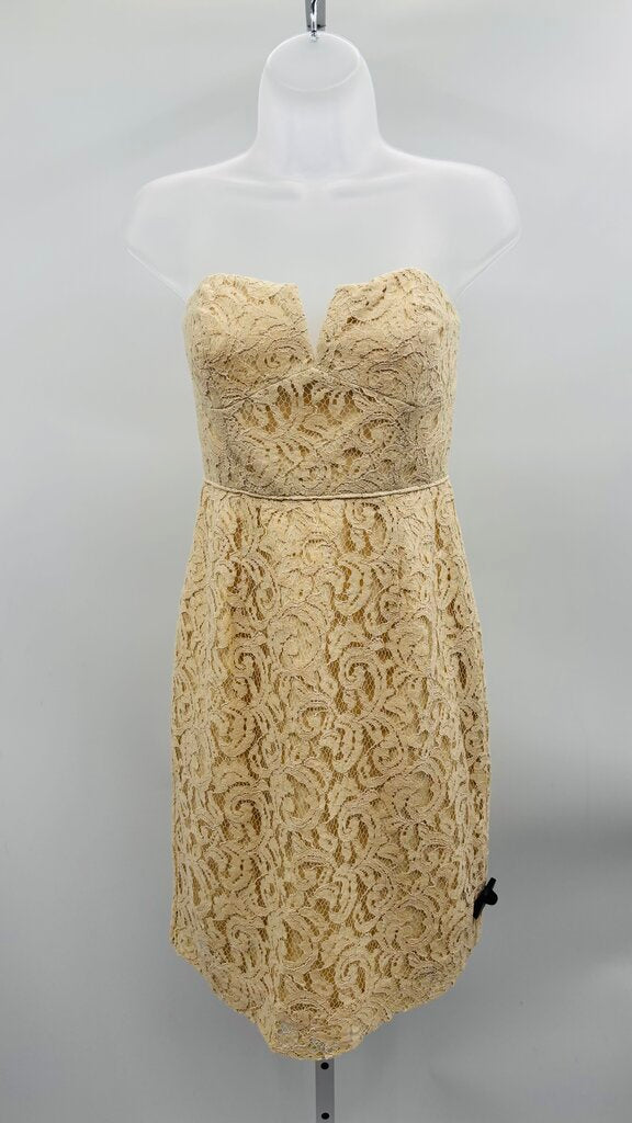 J. Crew Dress Beige 4
