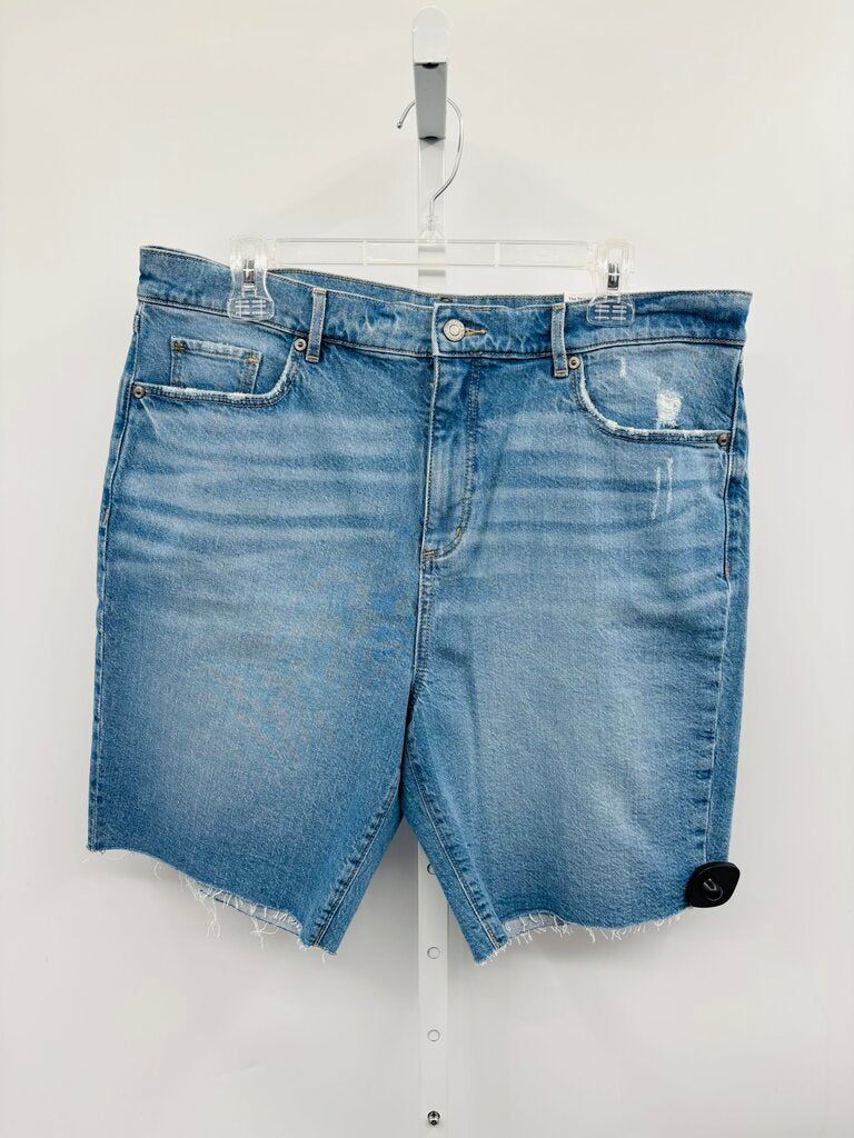 Loft Shorts Denim 14