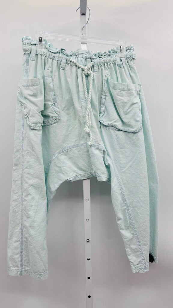 Free People Cropped Pants Blue XS