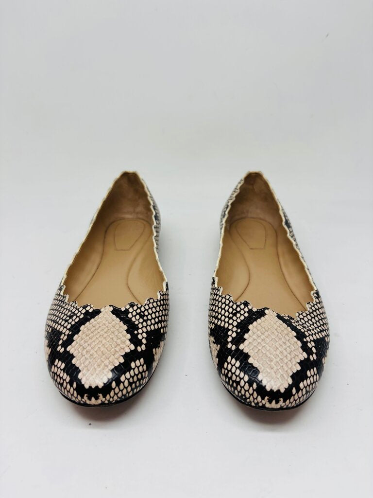 Chloe Flats Beige 7