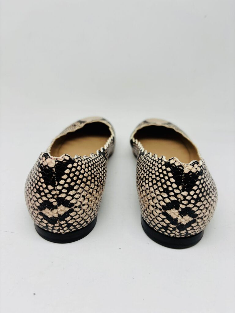 Chloe Flats Beige 7