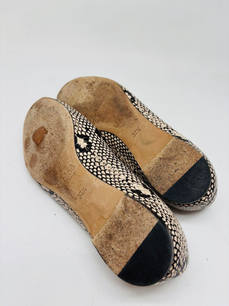 Chloe Flats Beige 7