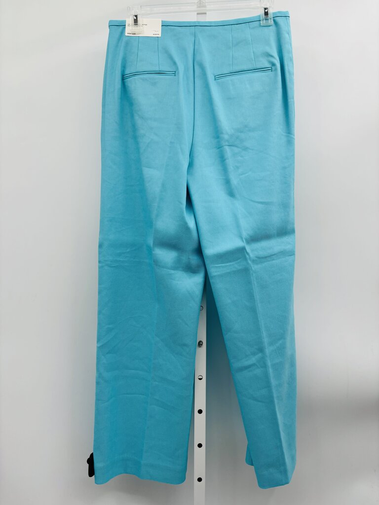 Ann Taylor Pants Blue 10
