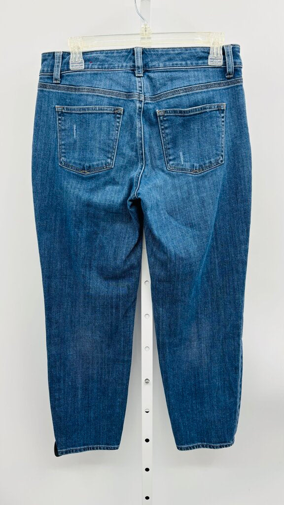 Talbots Jeans Blue 6P