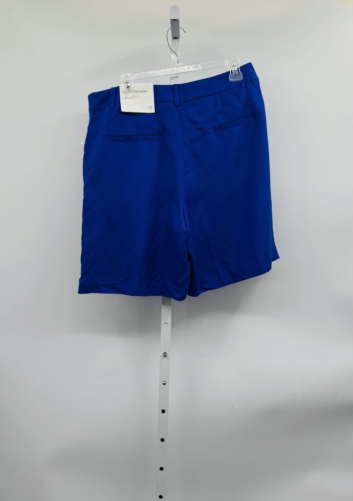 Loft Shorts Blue 12