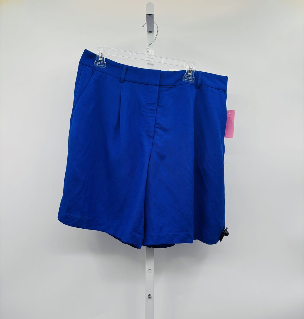Loft Shorts Blue 12