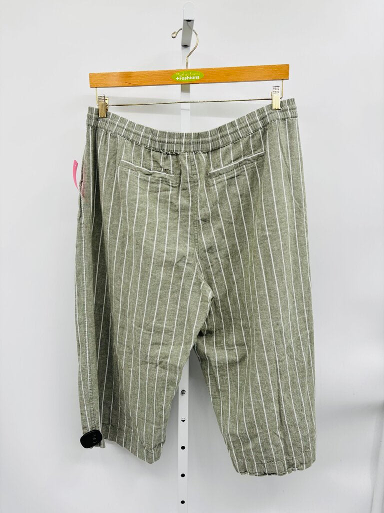 Beach Lunch Lounge Cropped Pants Plus Green XXL