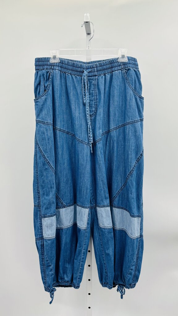 Pilcro Pants Wide Leg Blue L