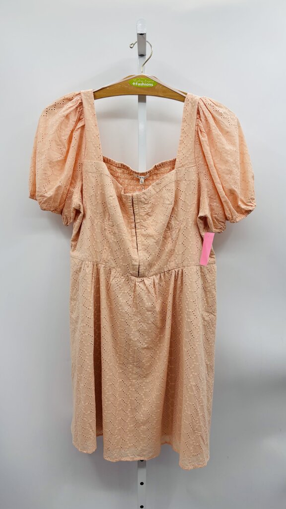 BaeVely Dress Plus Peach 2X