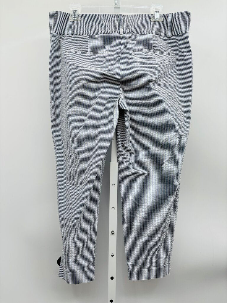 Ann Taylor Cropped Pants Blue 12