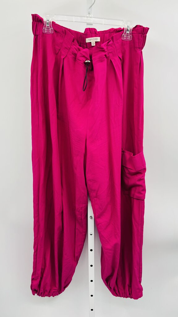 Carole Christian Pants Pink XL