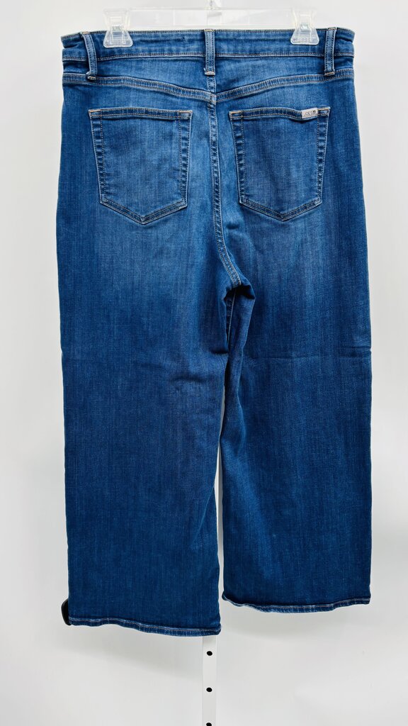 Joe's Jeans Wide Leg Denim 12